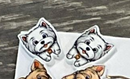 Whiskers and Woofs Dog Teeth Earrings