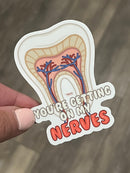 Dental Stickers: Waterproof Vinyl Decals for Dental Professionals