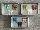 Colorful Tooth Magnets