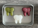 Colorful Tooth Magnets