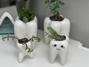 Ceramic Tooth Vase: Dental Planter, Dentist Gift