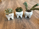 Smiling Dental Vase Tooth Vase Dental Desk Decor Tooth Planter Molar Tooth Succulent Planter Tooth Decor RDH Gift RDA Gift Dental