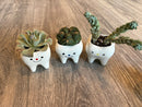 Smiling Dental Vase Tooth Vase Dental Desk Decor Tooth Planter Molar Tooth Succulent Planter Tooth Decor RDH Gift RDA Gift Dental