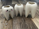 Molar Vases (Medium and Large)