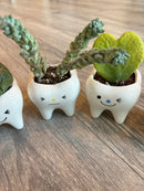 Smiling Trio Molar Vase