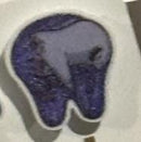 Emotion Dental Character Earrings