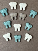 3 Teeth Magnet Set