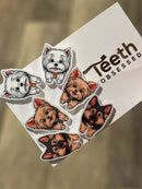 Various Dog Tooth Earrings