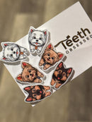 Various Dog Tooth Earrings