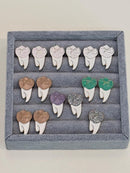 Full Molar Pins