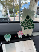 Dental Succulent Car Freshener & Vent Clip – Cute Tooth Air Freshie | Car Accessory Gift for Dental Assistants, Hygienists Students