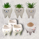 Smiling Dental Vase Tooth Vase Dental Desk Decor Tooth Planter Molar Tooth Succulent Planter Tooth Decor RDH Gift RDA Gift Dental