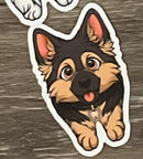 Dental Stickers | Dentist Office Decor | Dental Assistant Gift | Hygienist Sticker | Tooth Stickers | Dental Team Swag