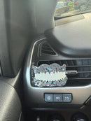 Denture Car Freshies